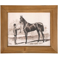 Horse Sketch Framed Wall Art